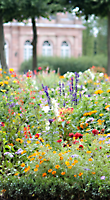 Blumenbeet im Schlossgarten
